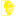 Durham (Qadınlar)